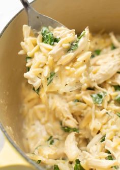 a large pot filled with pasta and chicken