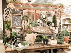 a table with lots of potted plants on top of it and a sign that says bloom