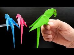 three different colored parrots are being held by a person's hand, one is green and the other is pink