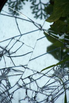 an image of broken glass with leaves in the background