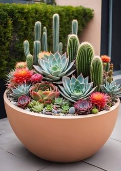 a potted plant with succulents and other plants in it on the ground