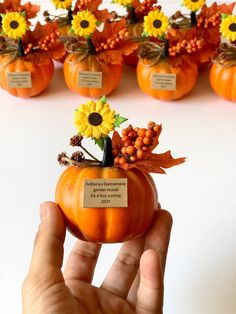 a hand holding a small pumpkin decorated with flowers and leaves in front of rows of smaller pumpkins