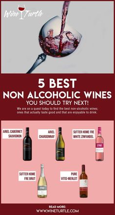 the 5 best non alcoholic wines you should try next