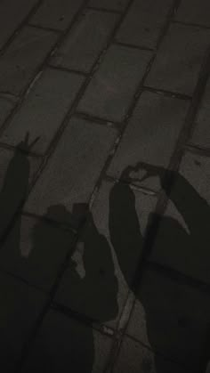 the shadow of two people standing next to each other on a brick walkway at night