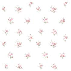 Purchase PR33842 Floral Prints 2 Red Small Floral Wallpaper by Norwall Wallpaper Phone Makeover, Daisies Wallpaper, Art Topics, Floral Print Wallpaper, Spotted Wallpaper, Daisy Wallpaper, Eyeliner Styles, Tiffany Glass, Manhattan Comfort