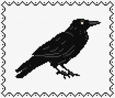 a black bird sitting on top of a white square with a border in the middle