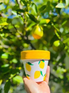 a hand holding up a cup with lemons on it and trees in the background