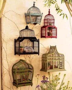 four birdcages are hanging on the wall with plants and flowers in front of them