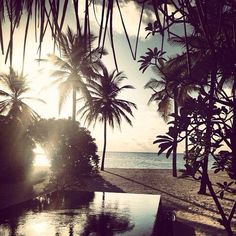 the sun shines brightly through palm trees near an outdoor swimming pool on a tropical beach