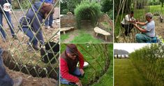 several pictures of people working in an outdoor area with trees and grass, one man is trimming the fence