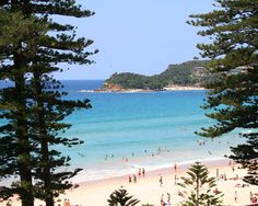 the beach is crowded with people and trees near the water's edge, surrounded by pine trees