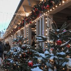 christmas trees are lined up on the side of a building with lights and garlands