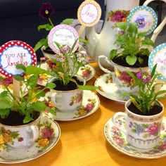 tea cups and saucers with plants in them sitting on a table next to each other