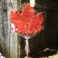 a red maple leaf wrapped in plastic on a wooden post with a string attached to it