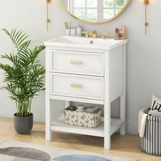 a bathroom vanity with a mirror above it and a potted plant in the corner