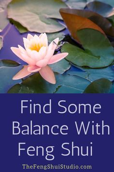 the words find some balance with feng shui on top of water lilies