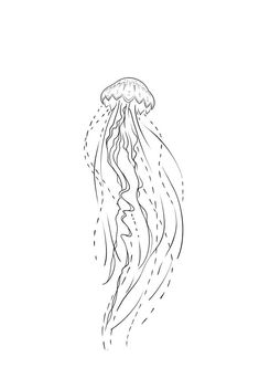 a black and white drawing of a jellyfish on a white background with water droplets