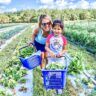 a woman and child riding on the back of a blue shopping cart in a field