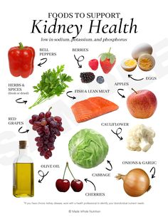 Foods to Support Kidney Health Handout — Functional Health Research + Resources — Made Whole Nutrition Pasti Fit, Food For Kidney Health, Functional Health, Different Foods, Kidney Recipes, Health Research, Kidney Health