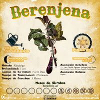 a poster with some type of plant on it's back side and the words berenjea written in spanish