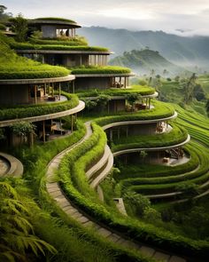 an unusual house with green plants growing on the roof and stairs leading up to it