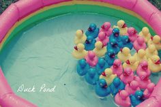 there are many rubber ducks floating in the pool with blue, pink and yellow ones