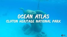 the ocean atlas logo is shown above an underwater photo