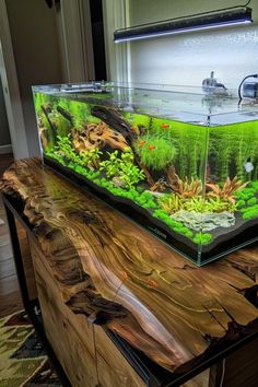 a fish tank sitting on top of a wooden table