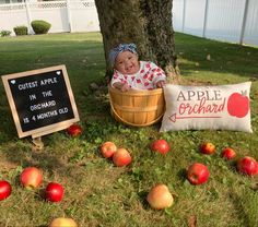 a baby sitting in a basket next to apples and a sign that says, quiet apple in the orchard is 4 months old