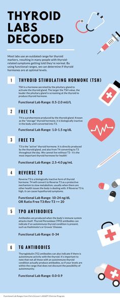 Low Thyroid, Thyroid Symptoms, Hashimotos Disease, Thyroid Issues, Thyroid Function, Thyroid Hormone, Thyroid Health, Health Info, Young Living