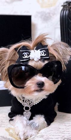 a small dog wearing sunglasses and a black bow tie sitting on top of a bed