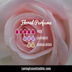 Rose and Sandalwood Essential Oil Blend Benefits with DIY Sandalwood Essential Oil Blends, Rose Essential Oil Recipes, Oil Diffuser Benefits, Lavender Oil For Sleep, Essential Oil Diffuser Benefits, Lavender Oil Uses, Lavender Oil For Skin, Lavender Essential Oil Benefits, Lavender Oil For Hair