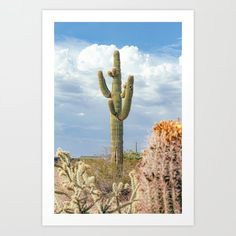 a large cactus in the middle of a desert with blue sky and clouds above it