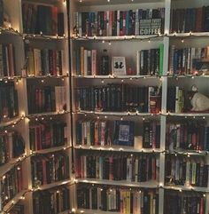 a book shelf filled with lots of books covered in fairy lights next to a window