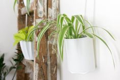 two white planters with green plants in them hanging on a wall next to a wooden door