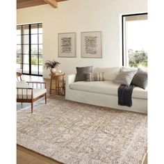 a living room filled with furniture and a large rug on top of a hard wood floor