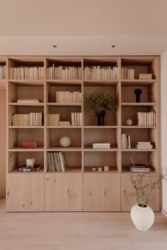 a large wooden bookcase filled with lots of books next to a vase and potted plant