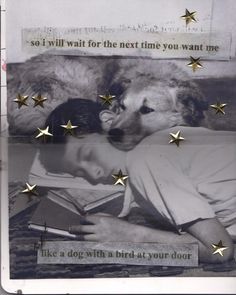 an old photo with stars on it and a dog laying next to the man's face