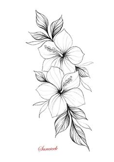 a drawing of some flowers on a white background