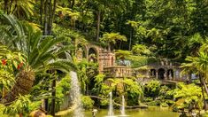 Madeira nos gusta por lo que tiene de paraíso tropical en el Atlántico, por su rica gastronomía, por sus rutas de senderismo y porque es accesible.