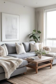 a living room with a couch, coffee table and plant in the middle of it