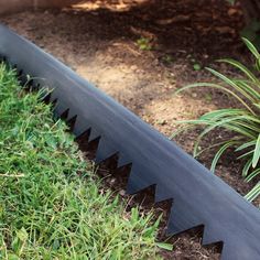 a close up of a saw blade laying on the ground next to some grass and plants