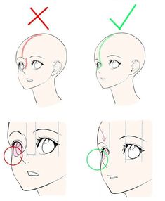 Anime Base Head Pose, Highlight Areas On Face, Hydrangea Art Wallpaper, How To Draw A Head From The Side, Head Tutorial Drawing Digital, Person Holding Orb Reference, How To Draw Someone Looking Down, Someone Crouching Reference, Casual Standing Pose Reference Drawing