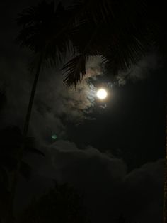 the full moon is shining brightly in the dark night sky with palm trees and clouds