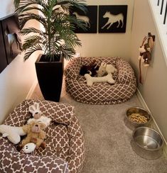 two dogs in their beds on the floor next to a potted plant and dog toys