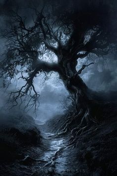 a tree with no leaves on it in the middle of a dark, foggy forest