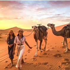 two women walking in the desert with camels and sand dunes behind them at sunset