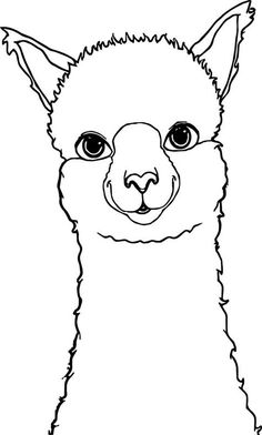 a black and white drawing of an alpaca's face with big eyes