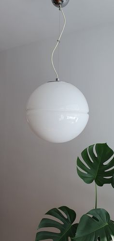 a white light hanging from a ceiling next to a green plant