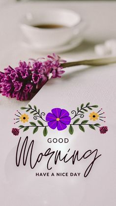 a purple flower sitting on top of a table next to a cup of coffee and saucer